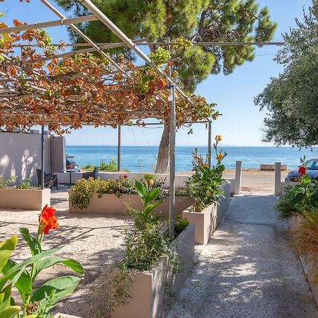 Akrogiali Studios Poros  Esterno foto